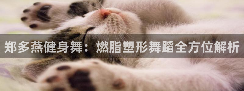 龙8游戏官方进入