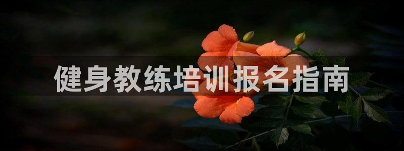 龙8国际免费试玩