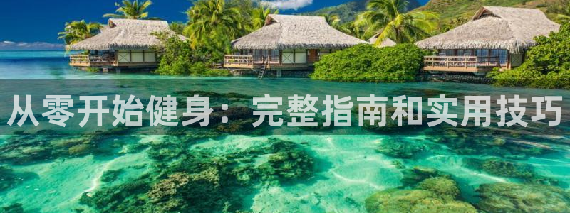 龙8国际是什么