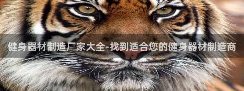 龙八国际2018最新官网