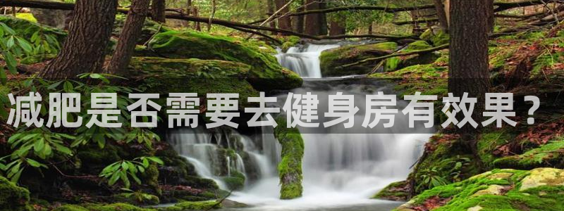 龙8国际中国官方网站