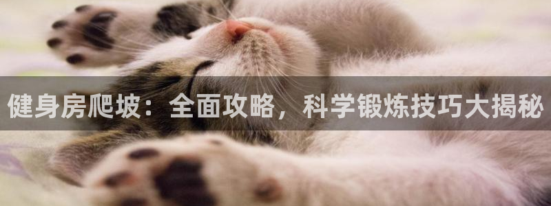 龙8国际ing