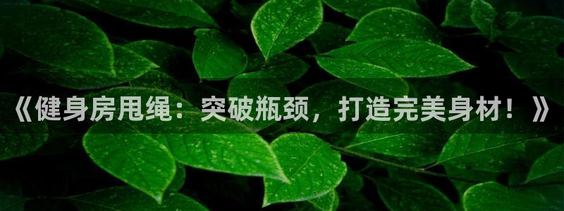 龙 八国际