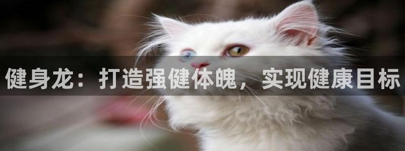 龙8国际网页版下载