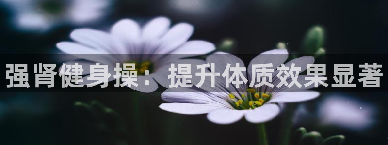 龙8国际棋牌