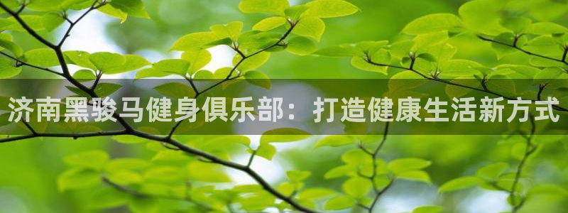 龙8国际玩家