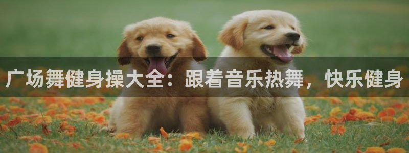 龙8国际现金