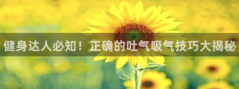 龙8国际头号玩家下载