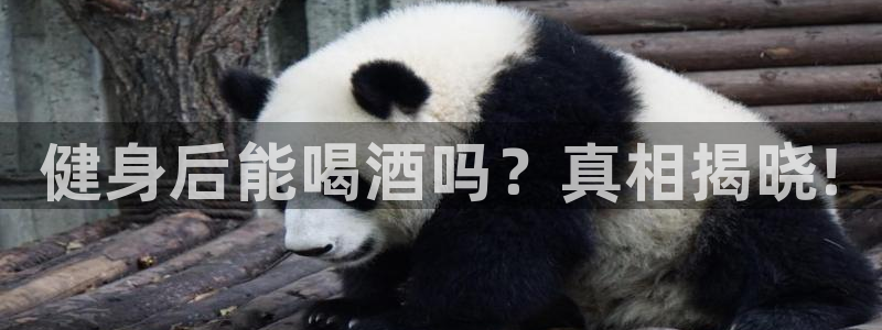 龙8国际网址
