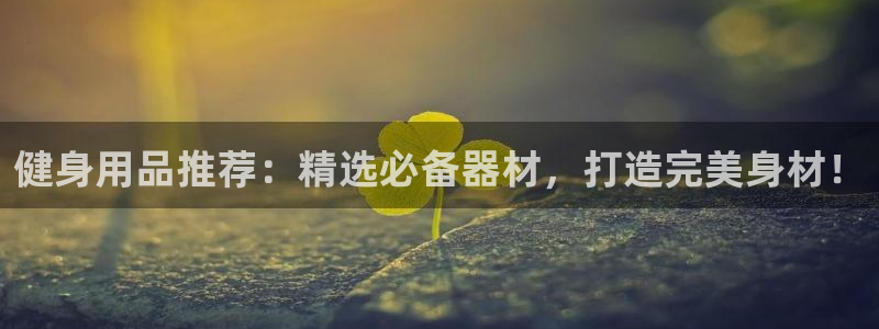 龙8国际手机版