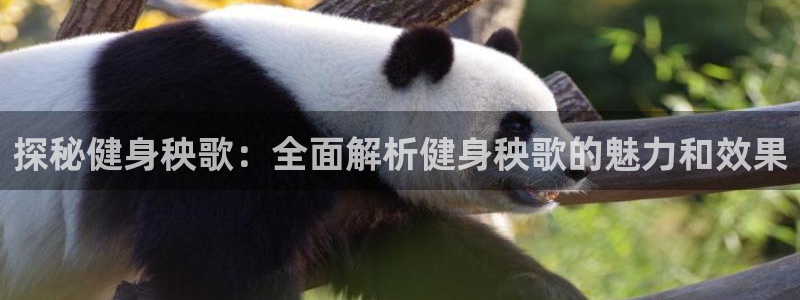 龙8国际手机网页版