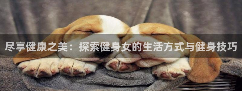 龙8国际游戏官方进入的介绍