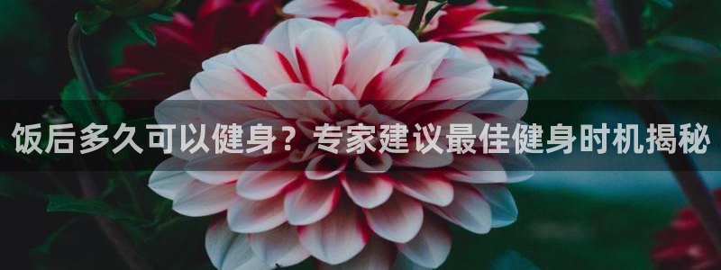 国际龙8hk
