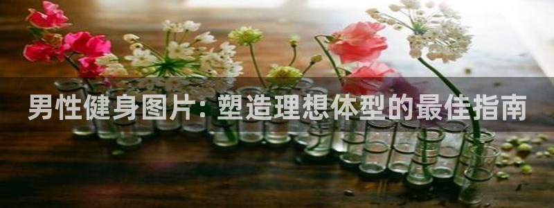 龙8国际欢迎您