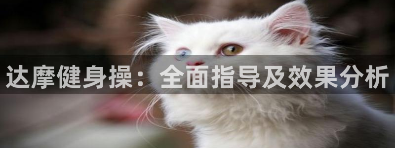 龙8唯一官网