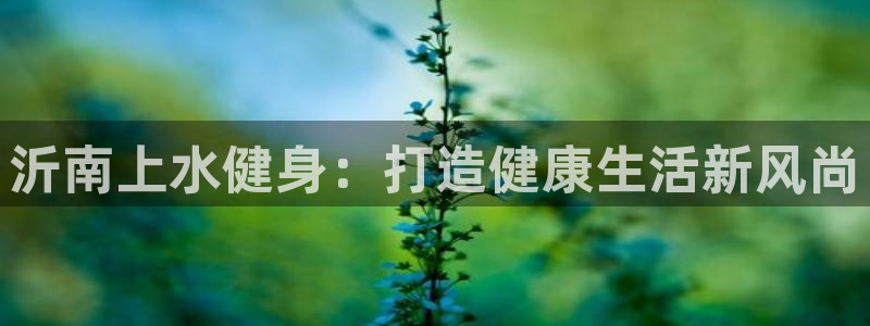 龙八国际服官网入口