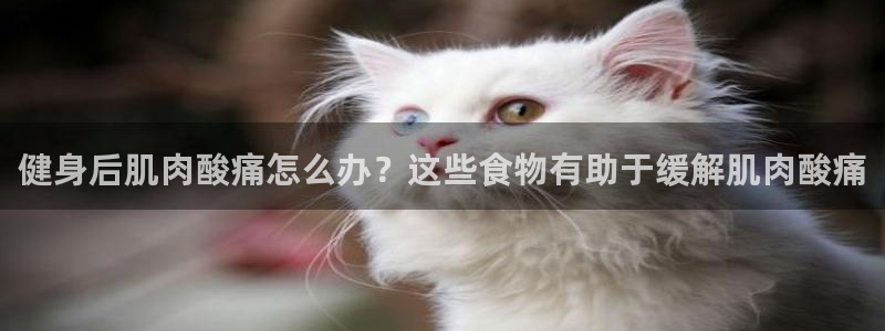 龙8国际ing