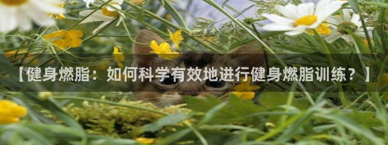 龙8国际电玩城