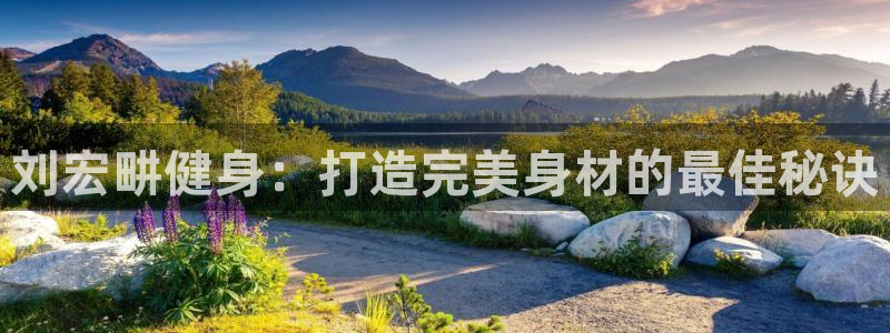 龙八国际登录入口