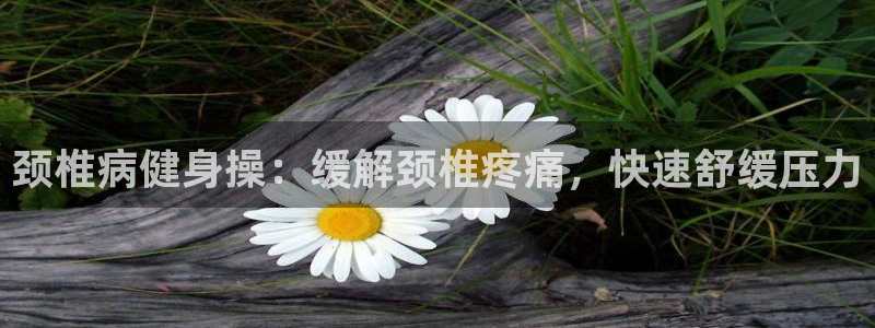 龙8国际备用