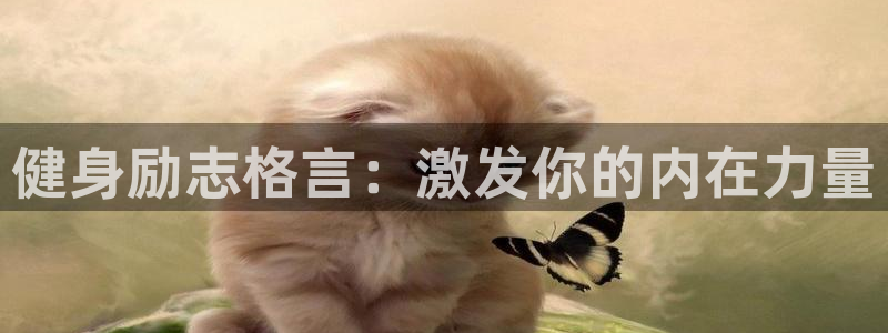 龙8app 国际