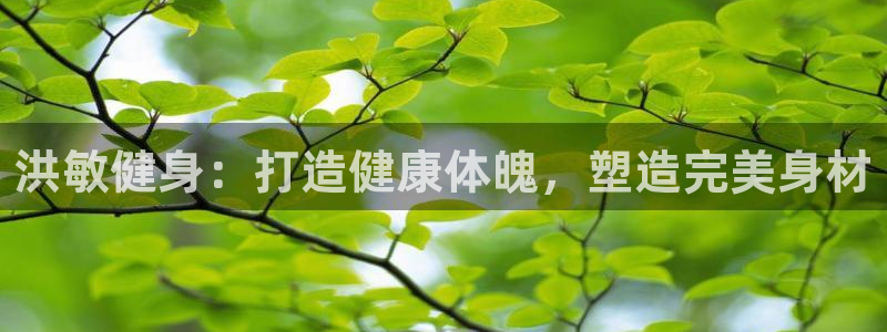 龙8国际登录地址