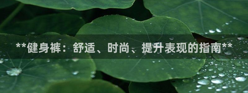 龙8老虎机网络游戏