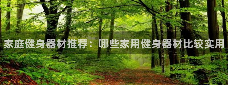 龙8国际3.0