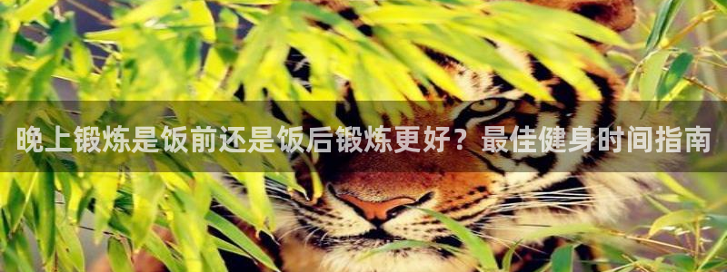 龙8国际老虎机娱乐
