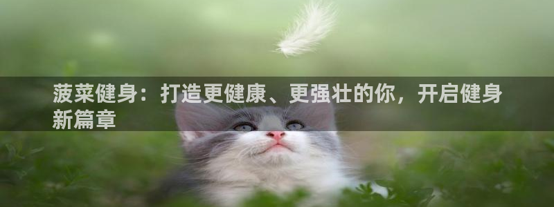 龙8国际老虎机官网