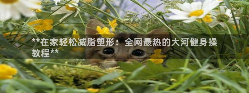 龙8国际老虎机官网