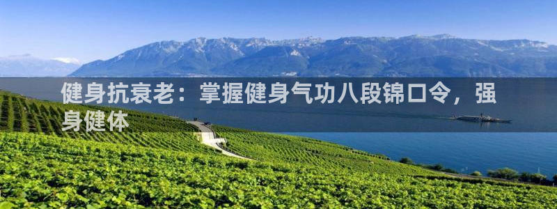 龙8国际的漏洞