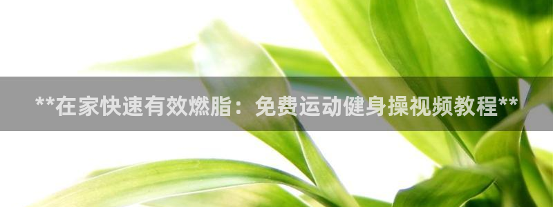 龙8国际手机登录官网