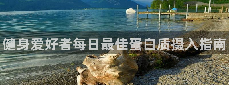 龙八国际登录密码