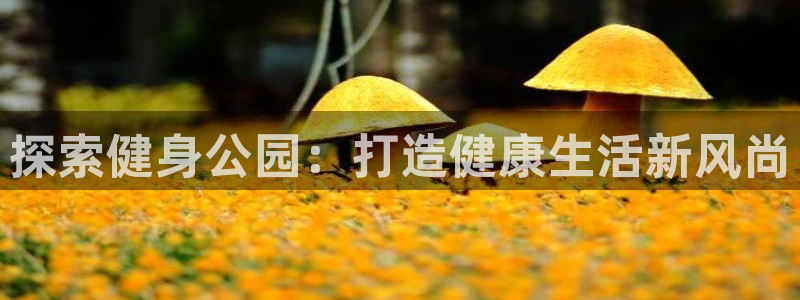 龙8游戏官方网站登录