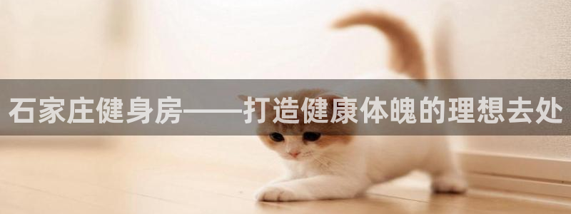 龙8国际pt官网