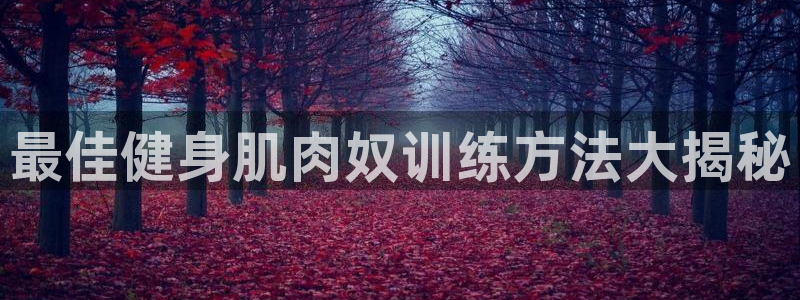 龙8国际手机版官网下载