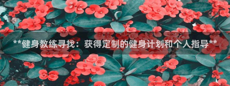 龙8国际手机登