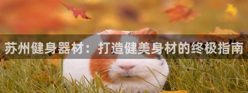 龙8国际官网版