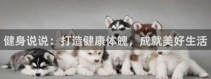 龙8国际游戏公司官网
