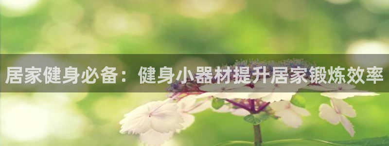 龙8国际官方网站龙8国际pt老虎机