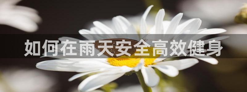 龙8棋牌平台