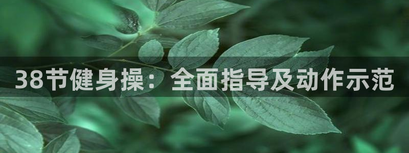 龙8国际下载