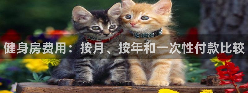 龙8国际官网app下载旧