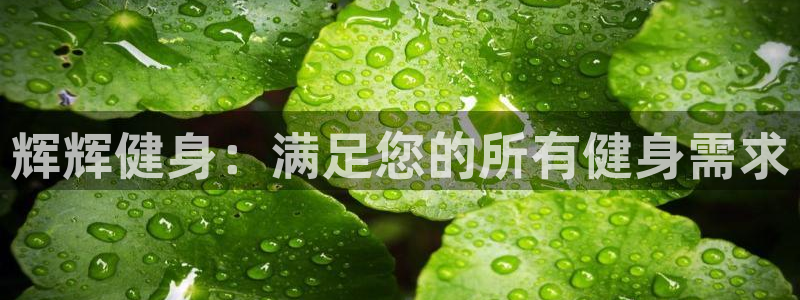 龙8国际安卓版版