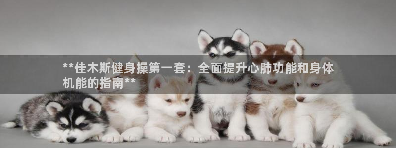 龙8国际pt网址官方