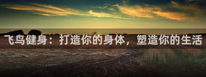 龙8国际2021官方网站pkufli5.10