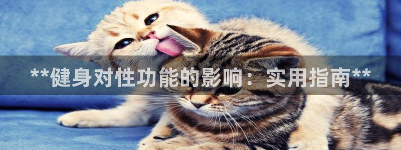 龙8国际平台官网