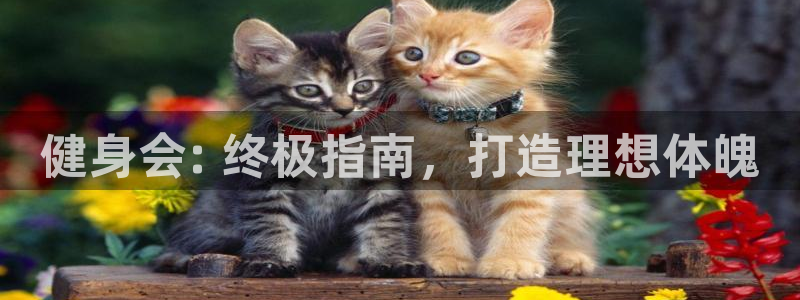 龙8国际官网下载地址