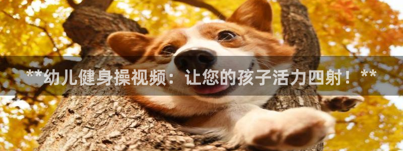 龙8国际app客户端下载